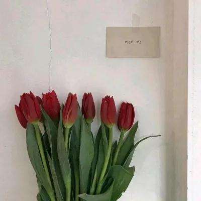 尼尔重生下载