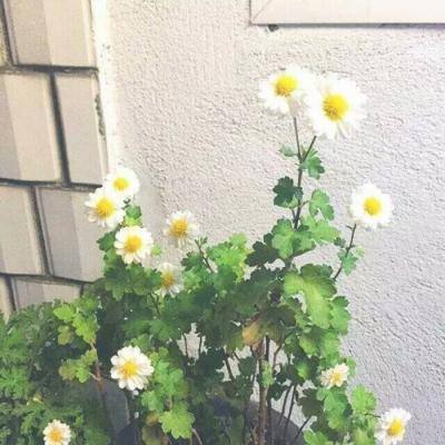 好游快爆app下载安装新版安卓
